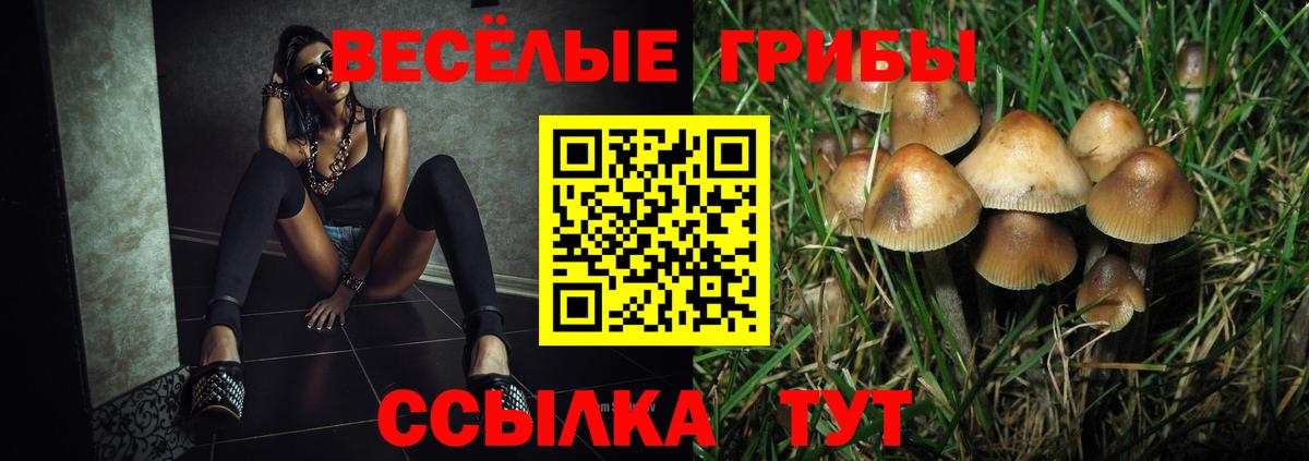 Шахты  Псилоцибиновые грибы Magic Shrooms  Псилоцибиновые грибы мухоморы  Вход с VPN 